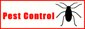 Icon for Pest Control - Pest Control Company